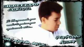 Perfecto Amor Rigoberto amaya pista [upl. by Ecyal178]