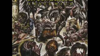 Incinerate  Infecting the Crypts Suffocation cover [upl. by Bores107]