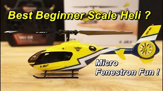 Beginner Scale RC Helicopter  Esky 150 EC Fits The Bill [upl. by Hanshaw]