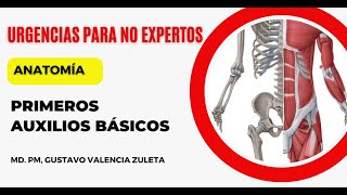 Primeros Auxilios basicos  Acciones básicas para la atención de un lesionado  ANATOMÍA [upl. by Geesey]