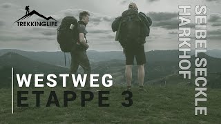 Westweg  Trekking im Schwarzwald  Camp Seibelseckle  Harkhof Etappe 3 [upl. by Verger]