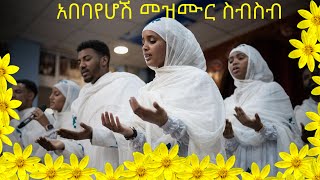 አበባየሆሽ መዝሙር ስብስብ 🌻🌻2017🌻🌻abebayehosh New Ethiopian Orthodox Mezmur 2024 [upl. by Etz]