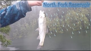 North Fork Reservoir Trout Fishing in the Rain  Promontory Park  Quick Limits  Estacada Oregon [upl. by Atnomed]