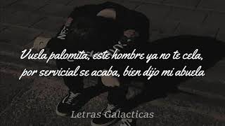 La Santa Grifa Yusak  Amnesia LetraLyrics [upl. by Apthorp]