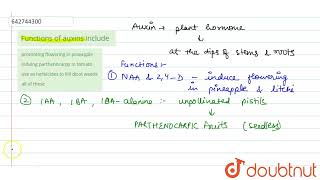 Functions of auxins include  11  PLANT GROWTH AND DEVELOPMENT  BIOLOGY  NCERT FINGERTPS ENG [upl. by Osnofla273]