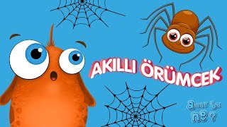 Akıllı Örümcek  Okul Öncesi Eğitici Animasyon  Anne Bu Ne [upl. by Allix]