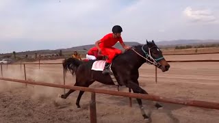 Carreras de caballos  Carrillo Puerto Loreto 2017 [upl. by Ku980]