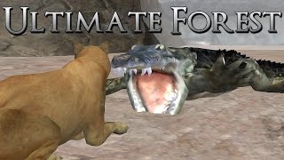 Taunting Crocodiles in Our Cougar Den • Ultimate Forest Simulator [upl. by Nainatrad389]