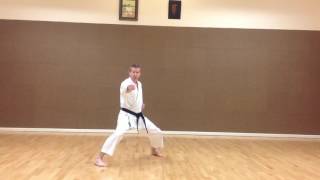 Fudo Dachi  SKIF Nidan amp Sandan Kihon [upl. by Hesky]