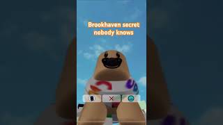 Brookhaven secret nobody knows😱￼ Brookhaven viral Roblox secrets ￼￼ [upl. by Inalaeham]