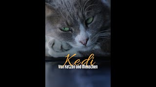 Kedi  Von Katzen und Menschen  Doku 2017 [upl. by Tserof]