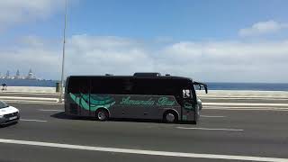 Amanda Bus Temsa MD9 [upl. by Immas]