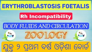 ERYTHROBLASTOSIS FOETALIS  Body Fluids and Circulation  biologytherapy chse neet 11th 12th [upl. by Rad]