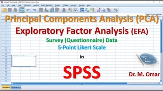 How to do Principal Components Analysis PCA and Exploratory Factor Analysis EFA in SPSS [upl. by Adnuahs]