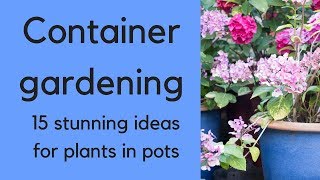 Container gardening  beautiful ideas for plants in pots [upl. by Zebe967]