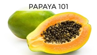 Papaya 101  Everything You Need To Know [upl. by Nodab28]