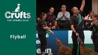 Flyball Competition  Last 16  Crufts 2023 [upl. by Anelah]