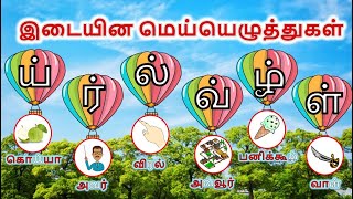 இடையின மெய்யெழுத்துகள் amp சொற்கள்  Idaiyina Mei Eluthukkal  Learn Basic Tamil Ilakkanam for kids [upl. by Denison342]