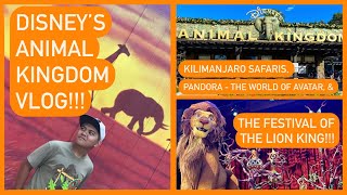 Disneys Animal Kingdom VLOG Adventures Animals amp AVATAR [upl. by Kyla]