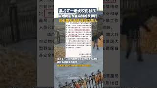 90多岁村民第一次听说老虎进村 专家：伤人老虎或来自俄罗斯 [upl. by Cis]