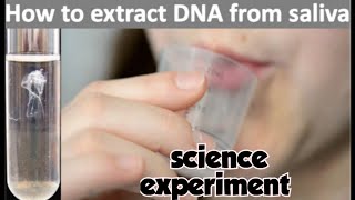 നമ്മുടെ സ്വന്തം DNAഎങ്ങനെ കണ്ടുപിടിക്കാം DNA Extraction from human salivaDNA extraction experiment [upl. by Nanaj]