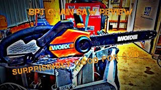 WORX Electric Chainsaw Review [upl. by Ulberto645]