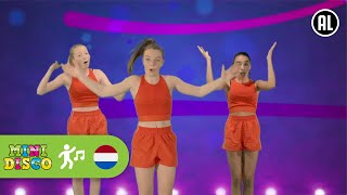 HOOFD SCHOUDERS KNIE EN TEEN  Kinderliedjes  Leer de Dans  Minidisco [upl. by Mahon]