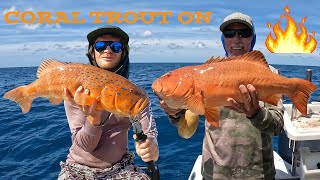 CRACKING CORAL TROUT AND GIANT GRASS SWEETLIP Team MampM Domination [upl. by Salamanca]