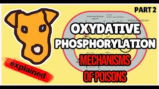 Oxidative Phosphorylation Poisons Biochemistry for Step 1 [upl. by Sisson]