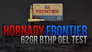 Home Defense 223 On A Budget Hornady Frontier 62gr BTHP Gel Test [upl. by Casaleggio]