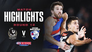 Collingwood v Western Bulldogs Highlights  Round 12 2024  AFL [upl. by Idurt]