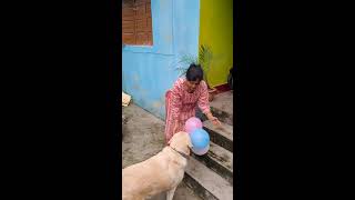 Kanchan Joshi 20 live stream [upl. by Hedvig873]