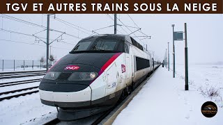 TGV et autres Trains sous la neige [upl. by Shulamith]