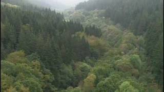 Coed y Brenin Forest Park birds eye view [upl. by Anigue206]