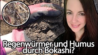 So verändert Bokashi deinen Sand Boden  gartenchaos gemüsegarten  garten bokashi [upl. by Mathre]