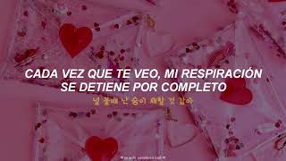 ･ﾟ SEVENTEEN ･ﾟ  Pretty U 예쁘다  sub español ♡ [upl. by Roon]