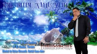 Anil Bheem  Nayee Nayee  2015 Chutney Music  Brand New Release [upl. by Yraccaz417]