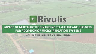 Rivulis Drip Irrigation Financing to Sugarcane Growers  English Rivulis India [upl. by Burnside713]