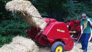 IHC Farmall DLD2 1953  Honigmarkt von Jens Keinhörster 2017 in Suderwich Recklinghausen  I [upl. by Ahsieit]