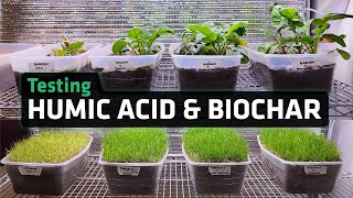 Humic Acid and Biochar Does It Work [upl. by Rollin]