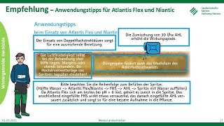 Ackerfuchsschwanz im Wintergetreide Frühjahr 2021 LKSH [upl. by Oigaib349]