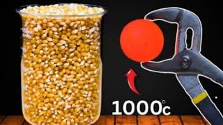 1000 degrees Hot Metal Ball vs Corn😱😓🤬🍿 A very satisfying video of popcorn making😱 [upl. by Yettie370]