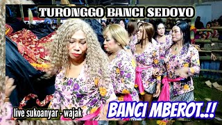 BANCI MBEROT  TURONGGO BANCI SEDOYO live sukoanyar wajak [upl. by Rezal]