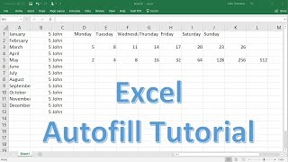 Excel Autofill Tutorial  Months Days Dates Numbers amp Formulas [upl. by Aitat5]