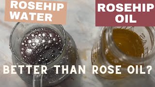 Rosehip Oil how to extract and why its awesome [upl. by Aitnuahs]