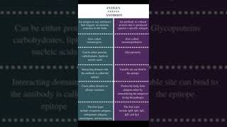 Difference between Antigen and Antiboody [upl. by Halil]