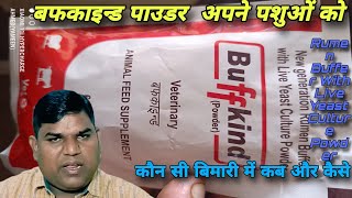 Buffkind Powder ka use apne pashuon me kab or kaise kren ll 👌🔥 cow Buffalo Farming Goat Sheep [upl. by Valenza]