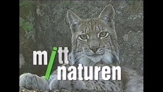 Mitt I Naturen SVT 19971029 [upl. by Cherilyn]