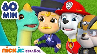 PAW Patrol  ¡1 hora de los rescates de bebés más adorables de la Patrulla canina  Nick Jr [upl. by Cochrane]