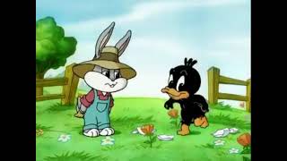 Baby Looney Tunes Extra Music Video [upl. by Zzaj]